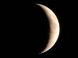 20061105235351-luna.jpg