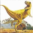20070406182253-t-rex.jpg